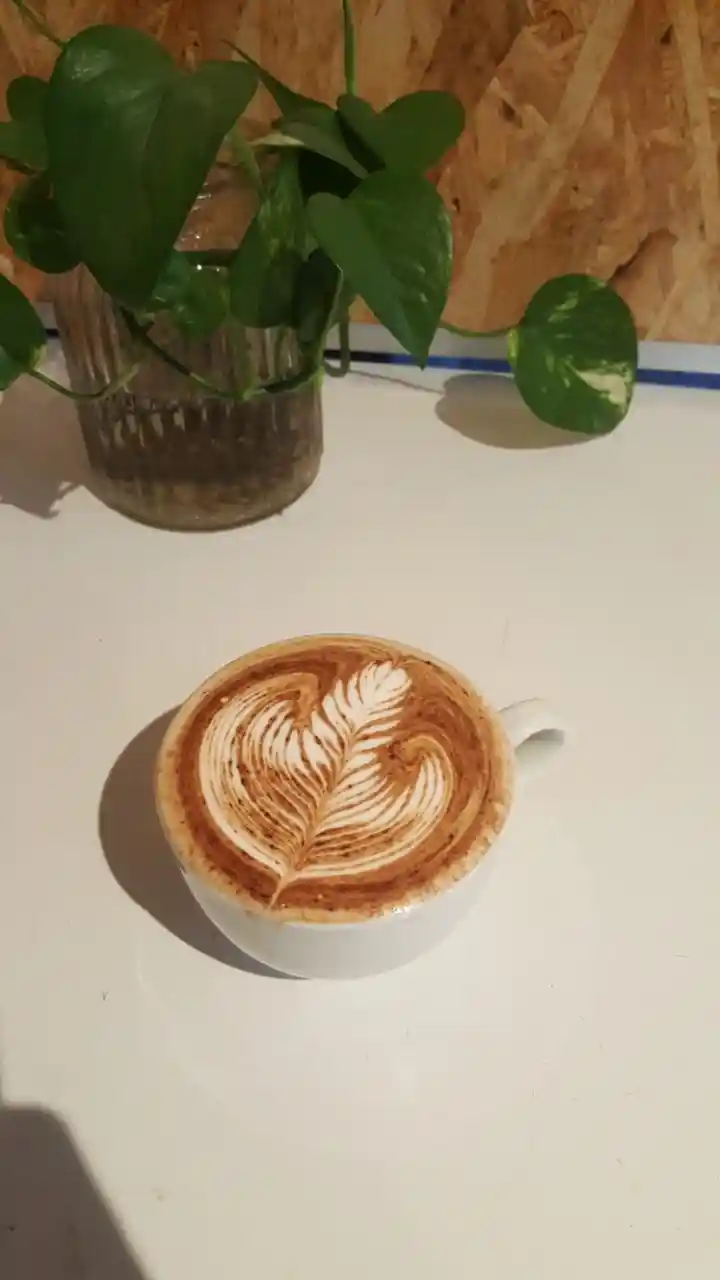 Cappuccino with cinnamon dusted feather latte art