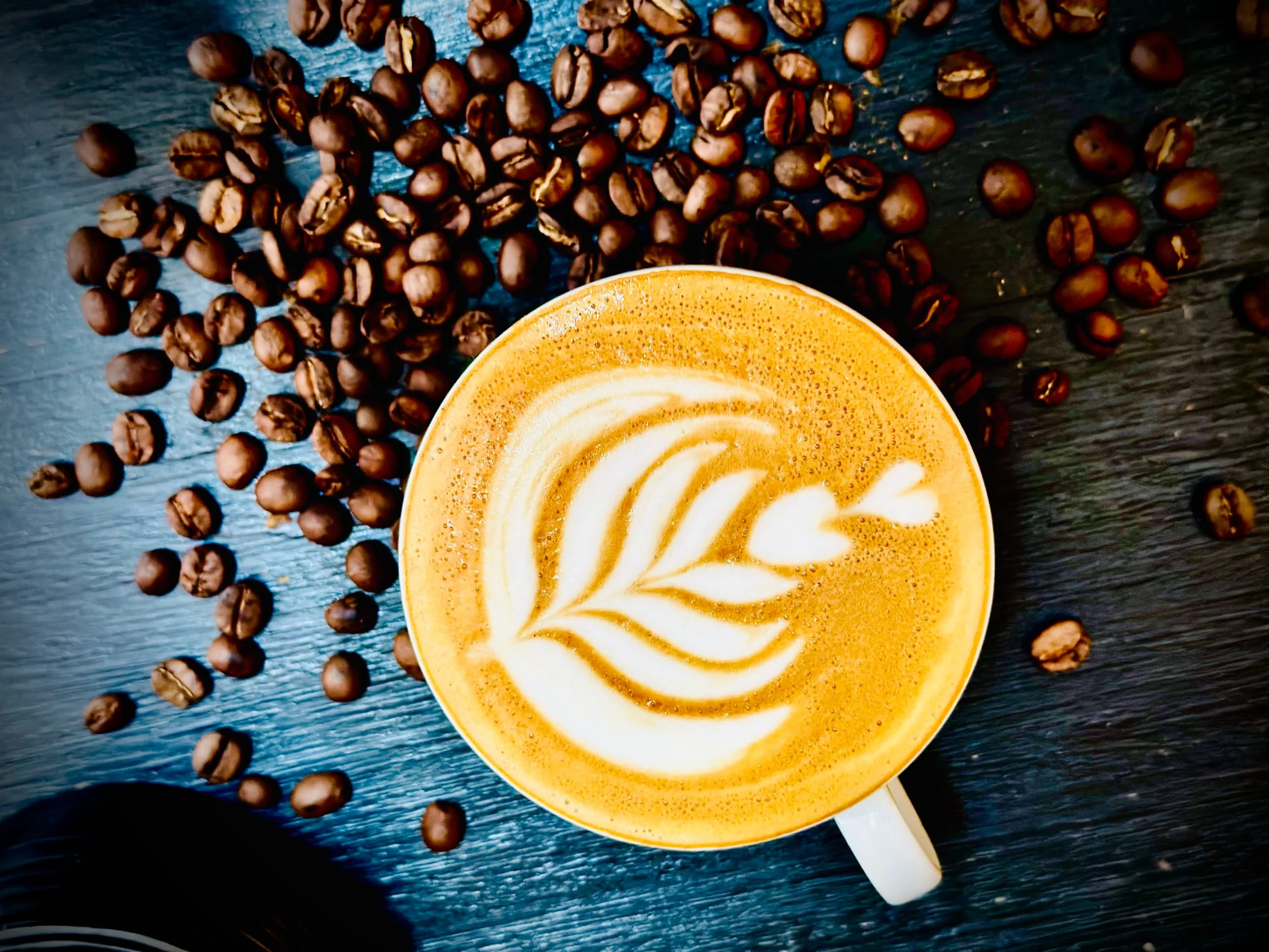 Latte in a branded EL-J cup held over a park setting